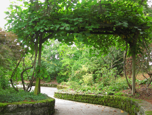 Sensory Garden Entry