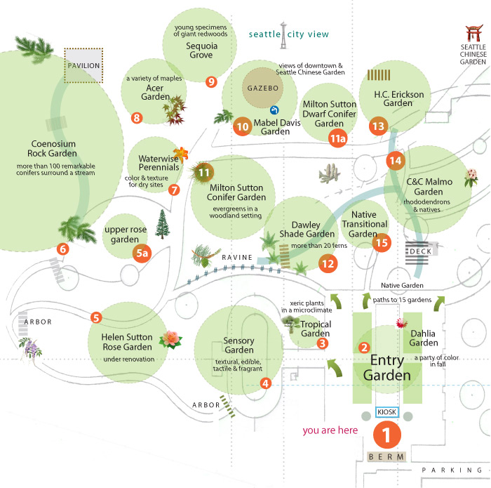 Walking Map of the South Seattle College Arboretum