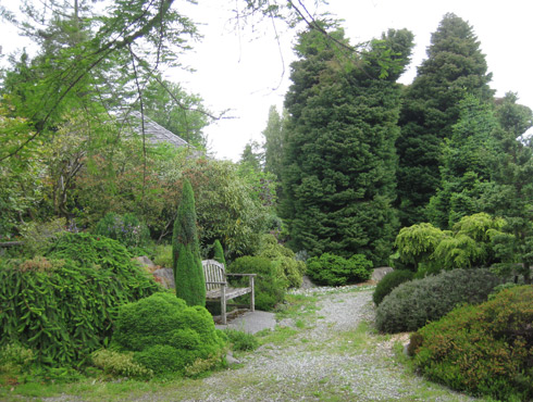 Milton Sutton Dwarf Conifer Garden