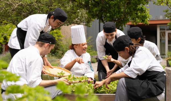  Culinary and Hospitality programs at South Seattle College 