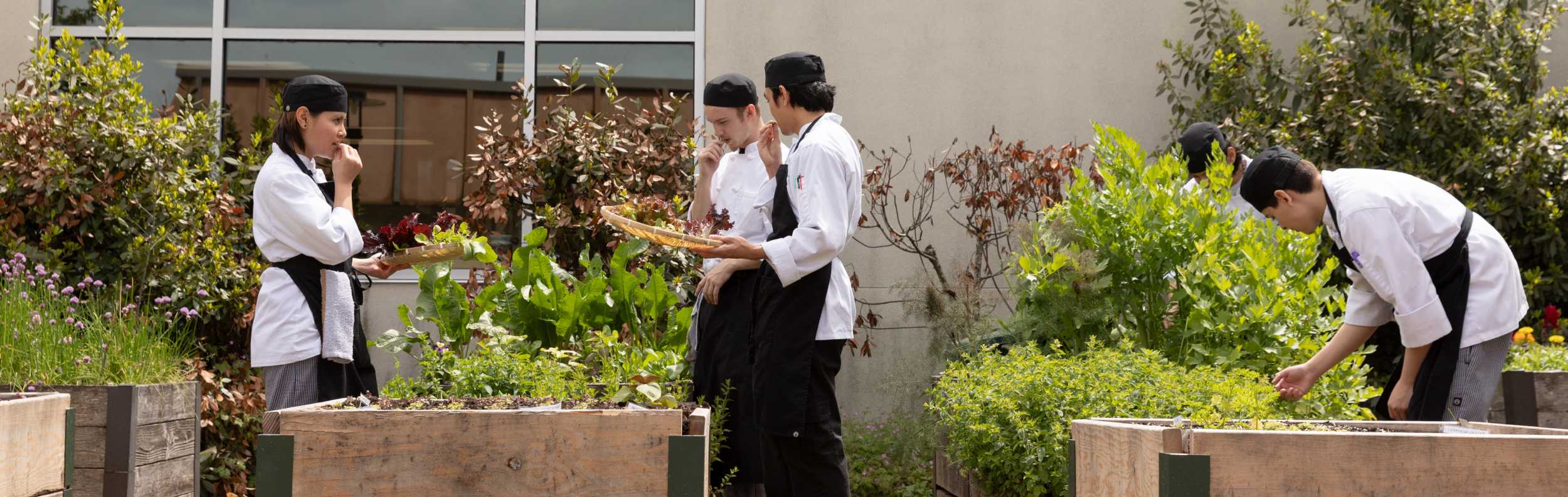  Culinary students at South Seattle College 